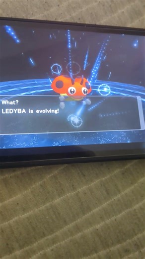Ledyba Evolves #pokemon #ledyba #ledian #evolution #gen3 #pokemonxdgaleofdarkness