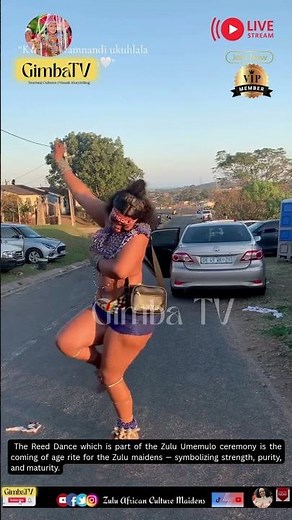 Blue and Royalty - Zulu Maiden in Vibrant Blue 🇿🇦 Umkhosi woMhlanga Reed Dance