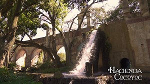 Vive la experiencia Hacienda Cocoyoc Convierte tu evento en una grata experiencia, tenemos paquetes con sala de trabajo, hospedaje y alimentos. Cerca de la CDMX, bajo el privilegiado clima morelense y donde siempre hay algo que hacer. Cotizaciones al 735 356 2211 e info@hcocoyoc.com. | Hotel Hacienda Cocoyoc