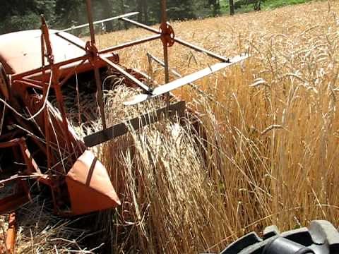 Allis Chalmers All crop 40 combine
