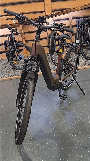 E-Bike 2025 CUBE Kathmandu Hybrid Pro 800 🔥🔥😍 #cube #new #shorts #touring #viral #2026 #kathmandu