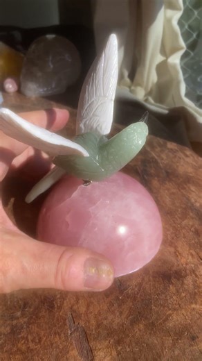Green and white hummingbirds bird on gem rose ball #birds