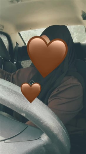 Essential Car Accessories: The Best Sun Shields Explained