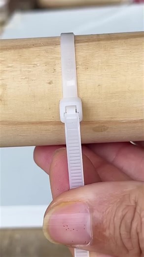 Effective Tips for Success in Life