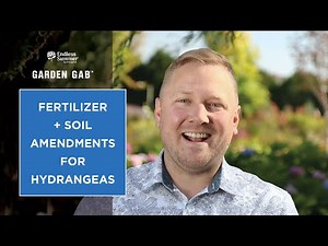 Fertilizer + Soil Amendments for Hydrangeas