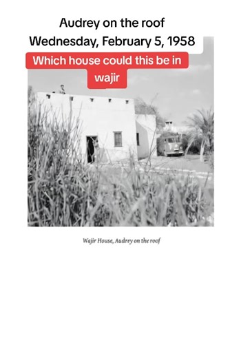 Wednesday, 5th February 1958 (Take Daraprim) Got up early to get a good start before the heat started. The countryside is getting more and more desert-like. Saw quite a bit of game, especially giraffes. They're very dark brown in colour up here. I spent all morning typing letters as we travelled along, a good day's work. This is a very lonely stretch without water or petrol. Got very hot during the day, we were all sweating quite freely. The road was very sandy and we got stuck because we moved 