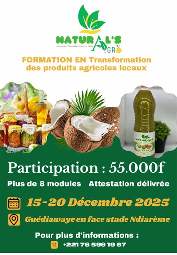 Promo 3 de notre formation en transformation des produits fruits et légumes 🥥🇸🇳🌿 #pourtoii #naturalsagro #transformationdesproduitslocaux #formationentransformationdesfruitsetlégumes #entrepreneuriat