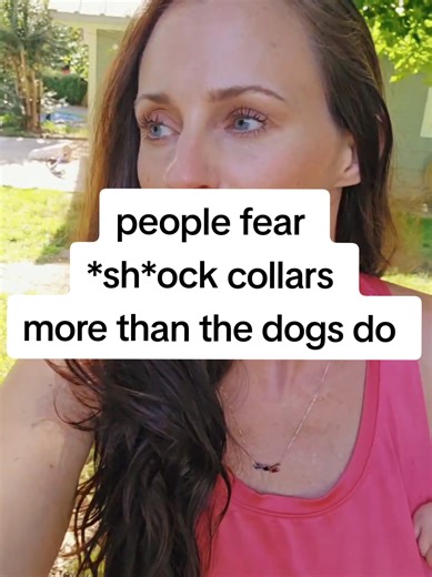 Essential Dog Training with E-Collars for Recall