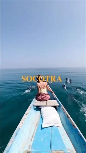 “Alien Planet on Earth?! Socotra Island का रहस्य 👽🌴”