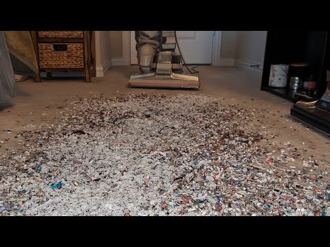 The Power of the Kirby Generation 3