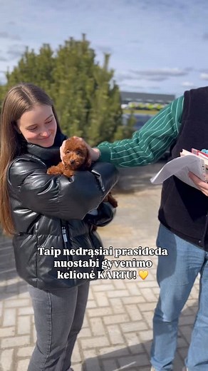 🐶 Pirmo susitikimo metu jaudinasi visi. Šuniukas jaudinasi, nes viskas nauja. Šeimininkai, nes tai svarbus sprendimas. Ir aš pati, nes žinau, koks nuostabus etapas prasideda. ⠀ Bet čia prasideda ne tik draugystė. Prasideda nuostabi gyvenimo kelionė KARTU! #šuniukas #šeima #pudelis #toypudelis #nykstukinispudelis #suo #lietuva #siauliai | Amplua Veislynas / Amplua Kennel FCI LKD