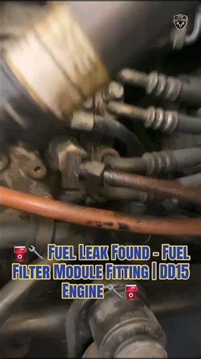 ⛽🔧 Fuel Leak Found – Fuel Filter Module Fitting | DD15 Engine 🔧⛽