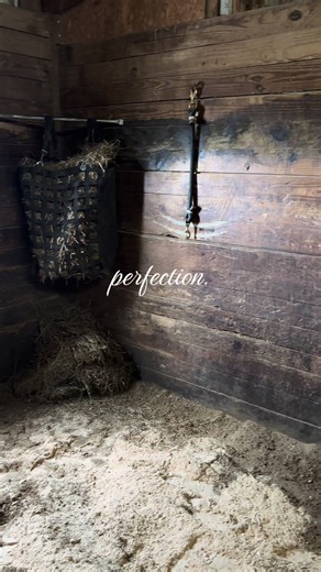 The Art of Equestrianism: A Perfect Connection with Horses