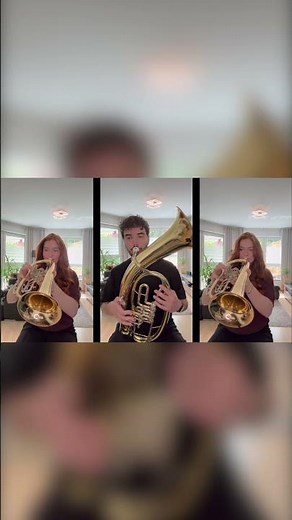 Dem Land Tirol die Treue Trio #böhmisch #marsch #blasmusik #volksmusik #tradition #trompete #polka