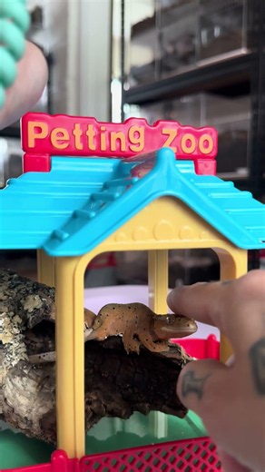 The NOPE Petting Zoo