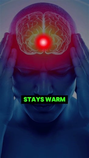 The Best Sleep Hack Ever!