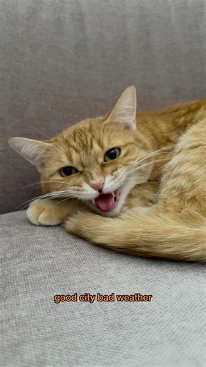 part two of penny’s tell-all interview