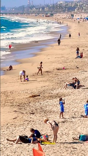 ☀️ Manhattan Beach Pier Coastal Paradise