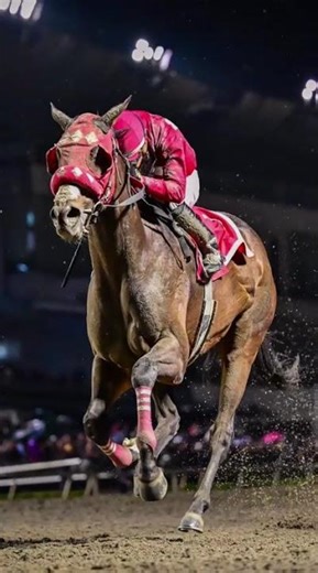 Z 5II | Precisión y poder en escenarios de velocidad