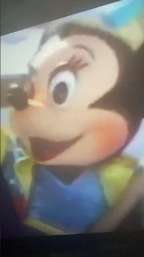 Beach party at Walt Disney world - Minnie Mouse