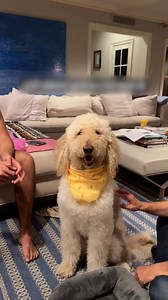 What a drama queen! 💅😂 | Furry Tails