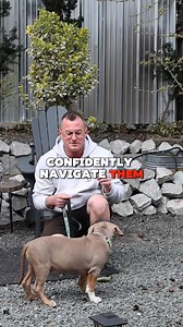 Black Friday is here! Save 40% on ANY Pure Canine Training Program. Discount applied at checkout Take an Additional 15% with code "VIP15". The complete dog and puppy training systems built for results! Our outcomes include: - Full obedience at home and in public - Preventing and correcting unwanted aggression, reactivity, pulling, lunging, and barking - Focus on you - making you the most interesting person to your dog - Walking stress-free - A stronger relationship with your dog - And much more!