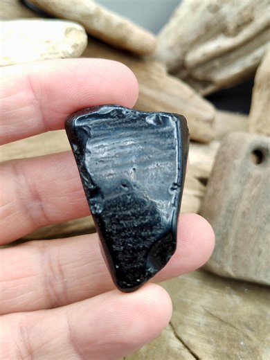 Whitby Jet - Polished Whitby Jet - Rough Whitby Jet - Jet Stone - Jet Palm Stone - Jet Fossil - Collectable - Monkey Puzzle - Fossil - Etsy