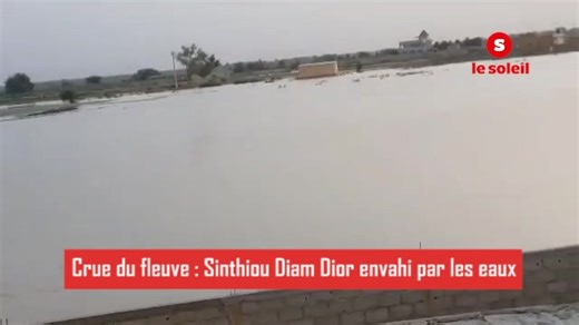 5.2K views · 109 reactions | Crue du fleuve : Sinthiou Diam Dior...