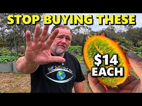 5 Expensive Crops I’m Growing EASILY & for Free Right Now