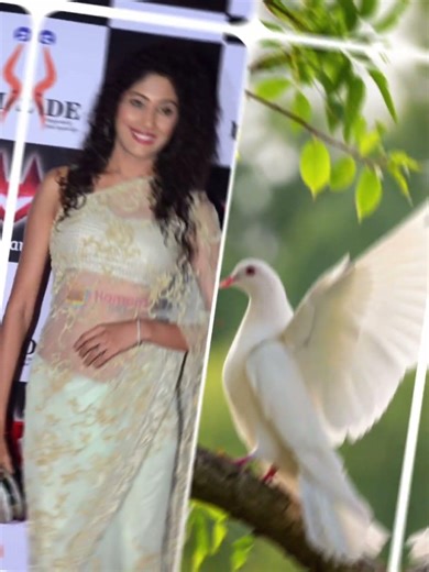top 8 CID actors ka favourite beautiful Birds🐦