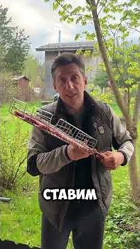 МИРАТОРГ | Стейк из мраморной говядины | Как приготовить стейк?! #отказанадостейка #стейк
