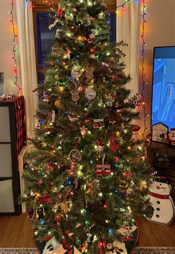 My 2025 Christmas tree was something out of my dreams! 🎄 Warm and full of colorful light! I am so nostalgic for this past Christmas already! 🥰❤️💚 #christmas #nostolgicchristmas #warmchristmas #vintagechristmas #sylvaniatraditionalglow