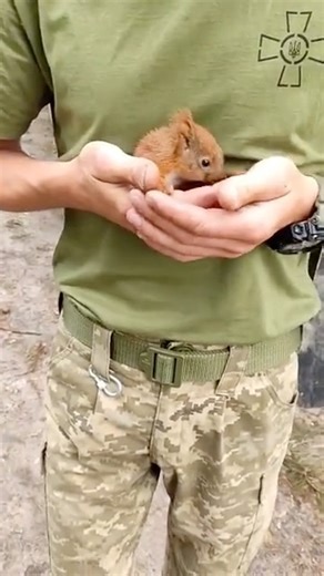 37K views · 3.8K reactions | A new friend. | In Ukraine | Facebook