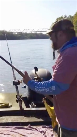 Catfishing Early Spring Tennessee Grand Slam! #fishing #riverfishing #catchandrelease