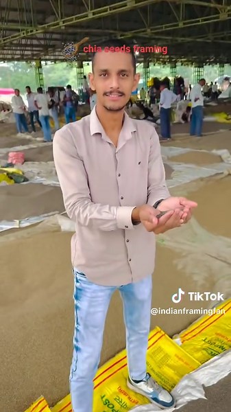 चिया सीड की खेती: कम लागत, ज़बरदस्त मुनाफ़ा ! जानिए कैसे? । @ princeagro.in@theprincepatidar 1. #Reels #agriculture #mandi #india #wheat #soya #garlic #onion #tractor #india #farming #explore