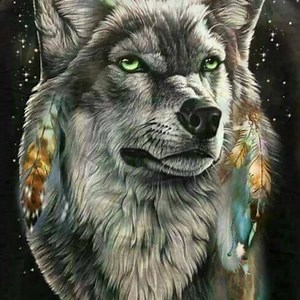 Some nice wolf faces for you | Wolves and wolfpuppys