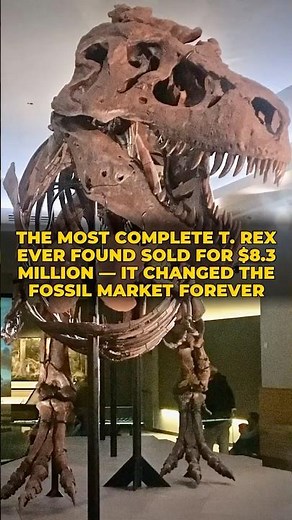 The Most Complete T. REX Ever Found Sold for $8.3 MILLION — It Changed the FOSSIL Market Forever