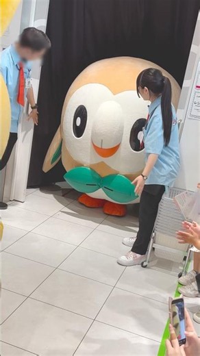 まっすぐに入場できなかったモクロー #ポケモン #pokemon #モクロー #rowlet