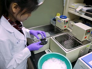 Proofreading and DNA Repair Assay Using Single Nucleotide Extension and MALDI-TOF Mass Spectrometry Analysis