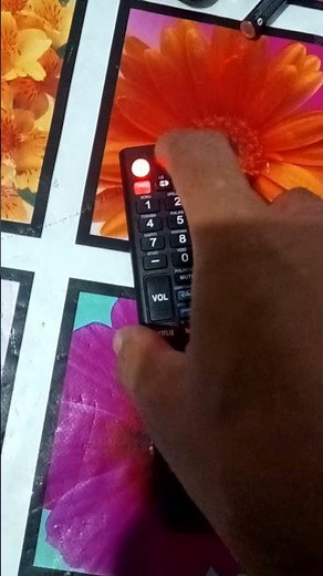 programe control isel