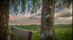 Smart Wake Up Light Sunrise Alarm Clock, Compatible with Alexa Echo Dot, APP&Voice Control,11 Natural Sounds&10 Lighting, Sleep Aid, Dual Alarms, Snooze, Nightlight, Daylight, Ideal for Gift