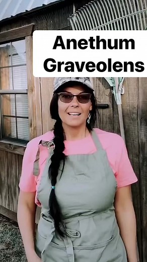 All About Dill: Growing Tips and Planting Guide