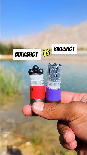 Bulkshot vs Birdshot 🦅
