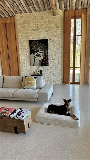 Barney bed isn’t just a regular dog bed 🐾 We designed our beds to be the ultimate blend of luxury, comfort and practicality Bella is snoozing on the luxury Bouclé cover #barneybed #dogbed #dogbeds #dogcover #bestdogbed | Barney Bed