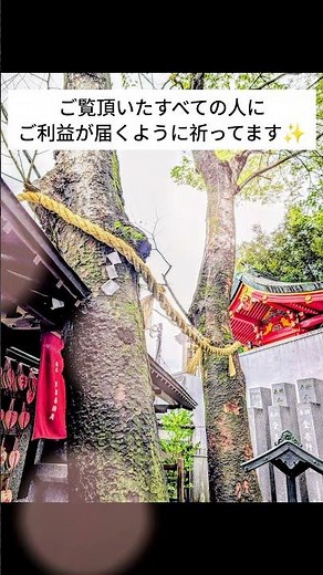 縁結びや恋愛成就のパワースポット✨東京都港区の豊川稲荷東京別院さんの愛染明王さまです✨ #japan #恋愛成就 #縁結び #tokyo