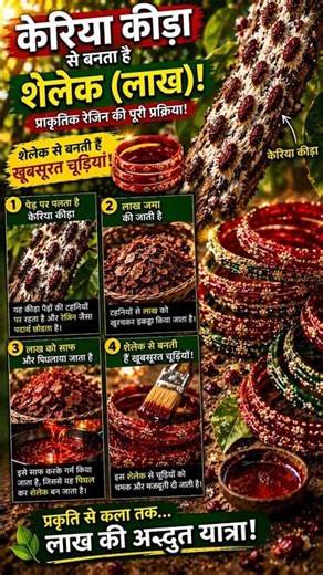 लाख से बनती हैं ये 4 चीजें 😲 | Shellac Uses in India 🇮🇳#facts #viral