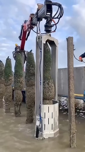 15K views · 130 reactions | The Most Satisfying Job Ever | Restoration 2R | Facebook