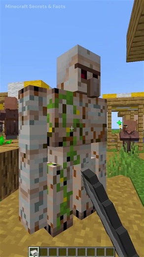 Minecraft Facts You Didn't Know! 🤯