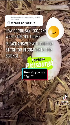 Pittsburghese Pronunciation of 'Egg' and Regional Accents Explained