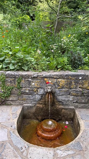 Red Spring or Red Well in Glastonbury, Somerset in England, it’s one of the two sacred springs at Chalice Well Gardens, the other being the White Spring. The Red Spring gets its name from the iron-rich water that leaves a reddish residue, often associated with the divine feminine and healing energy. It’s deeply woven into the mystical and spiritual traditions of Glastonbury, a place long connected to Arthurian legends, ley lines, and ancient pilgrimage routes. #glastonbury #virals #beautifuldest